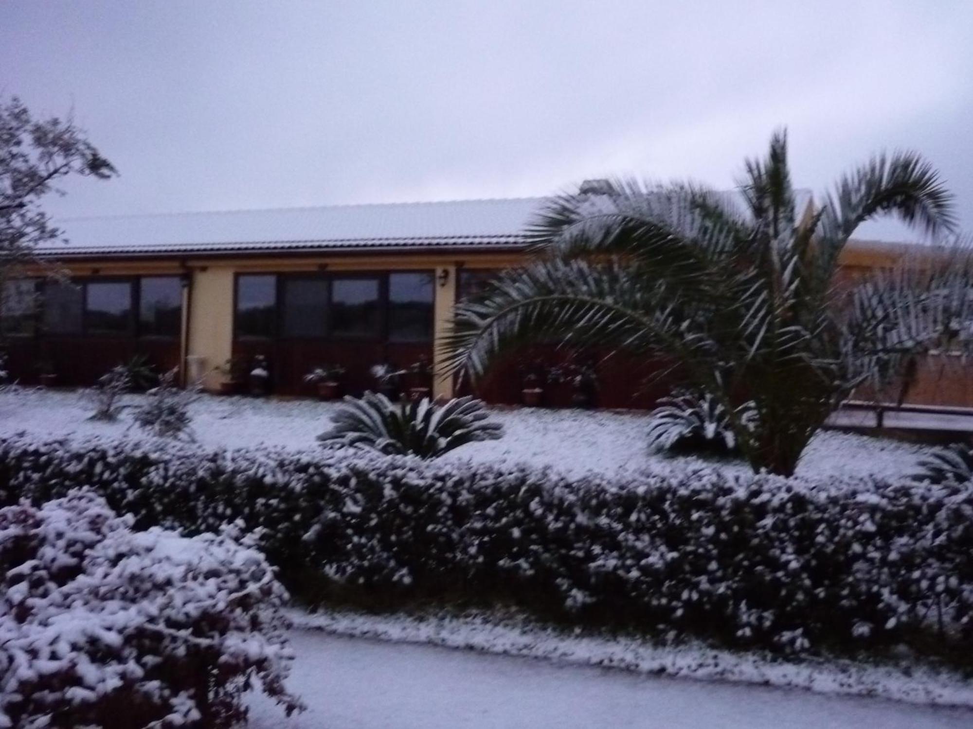 Agriturismo Isidoro Fertilia Exterior photo